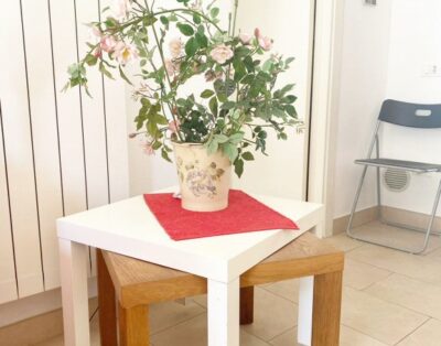 Raffaella Apartment in Marina di Cecina
