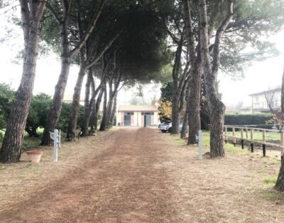 Turfrose di San Rossore
