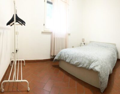 Turfrose di San Rossore