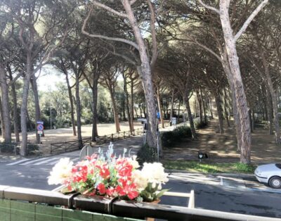 Alice apartment in Marina di Cecina