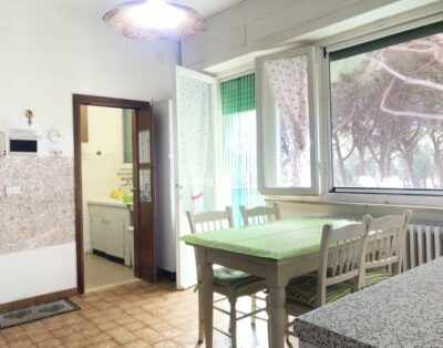 Sara apartment in Marina di Cecina