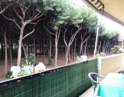 Sara apartment in Marina di Cecina